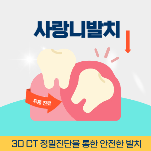 양주치과 양주시 치과 사랑니 발치